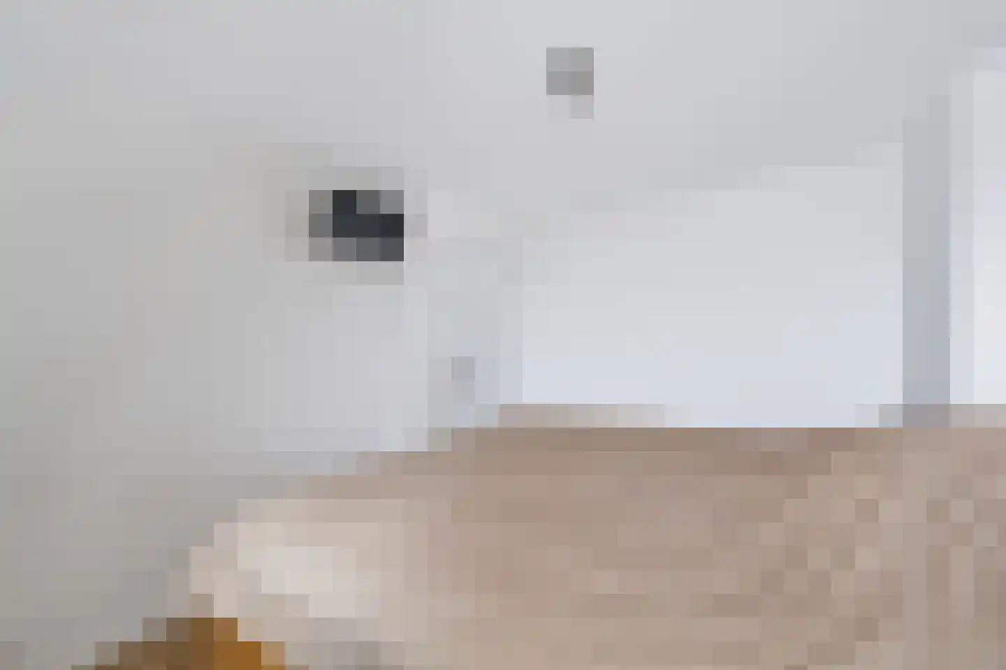 Julianastraat 24 Rhoon thumbnail 25