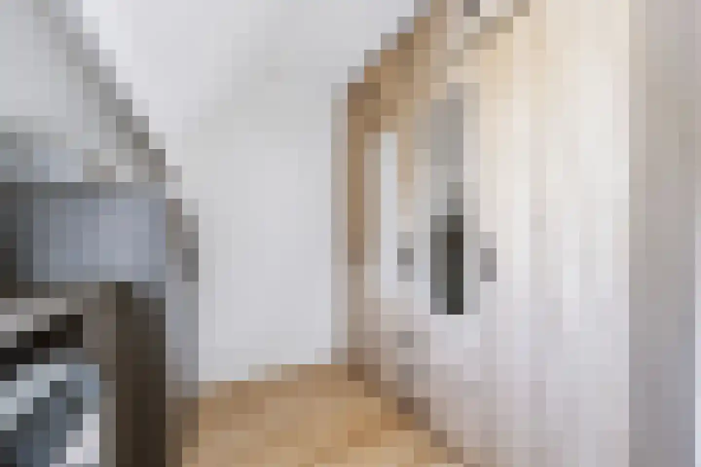 Julianastraat 24 Rhoon thumbnail 27