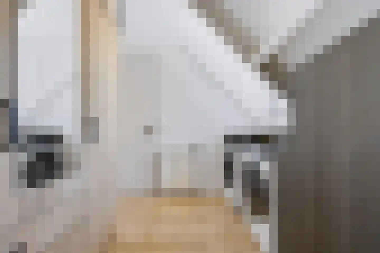 Julianastraat 24 Rhoon thumbnail 28