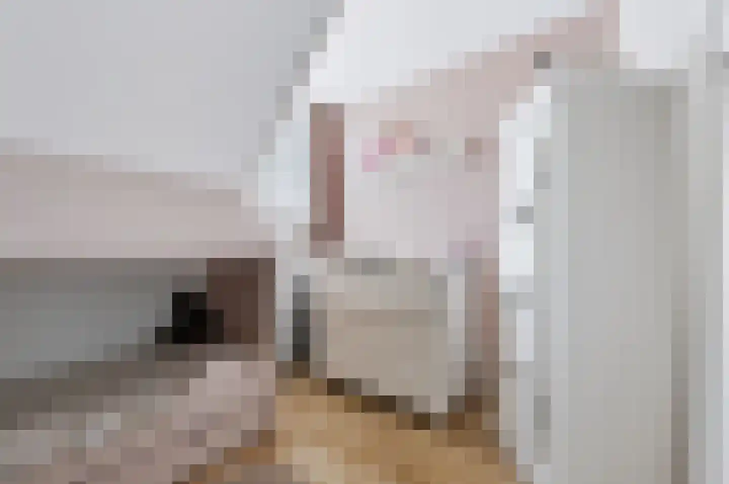 Julianastraat 24 Rhoon thumbnail 31