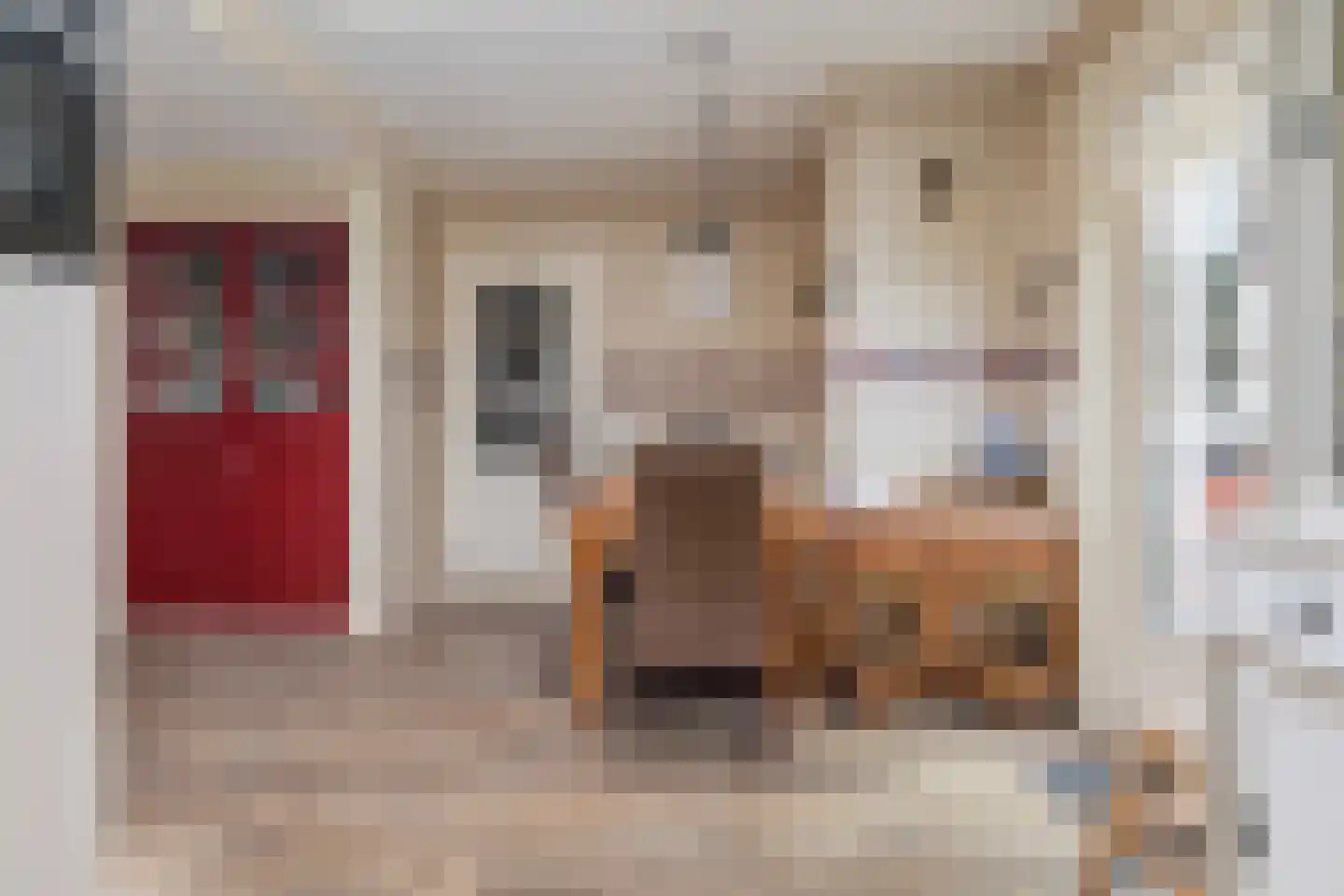 Julianastraat 24 Scherpenisse thumbnail 11