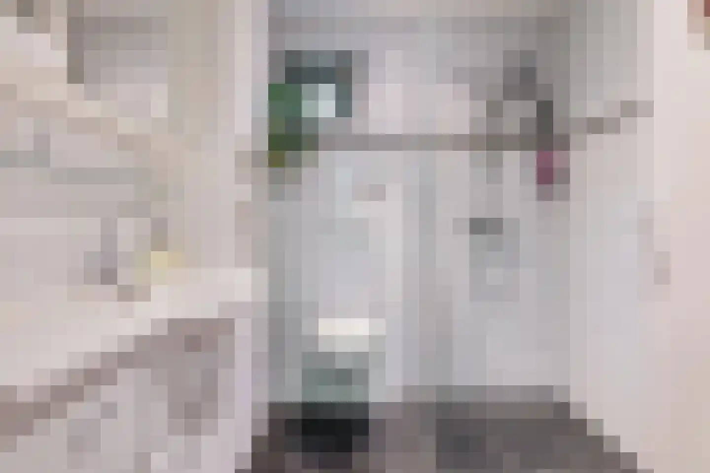 Julianastraat 24 Scherpenisse thumbnail 17