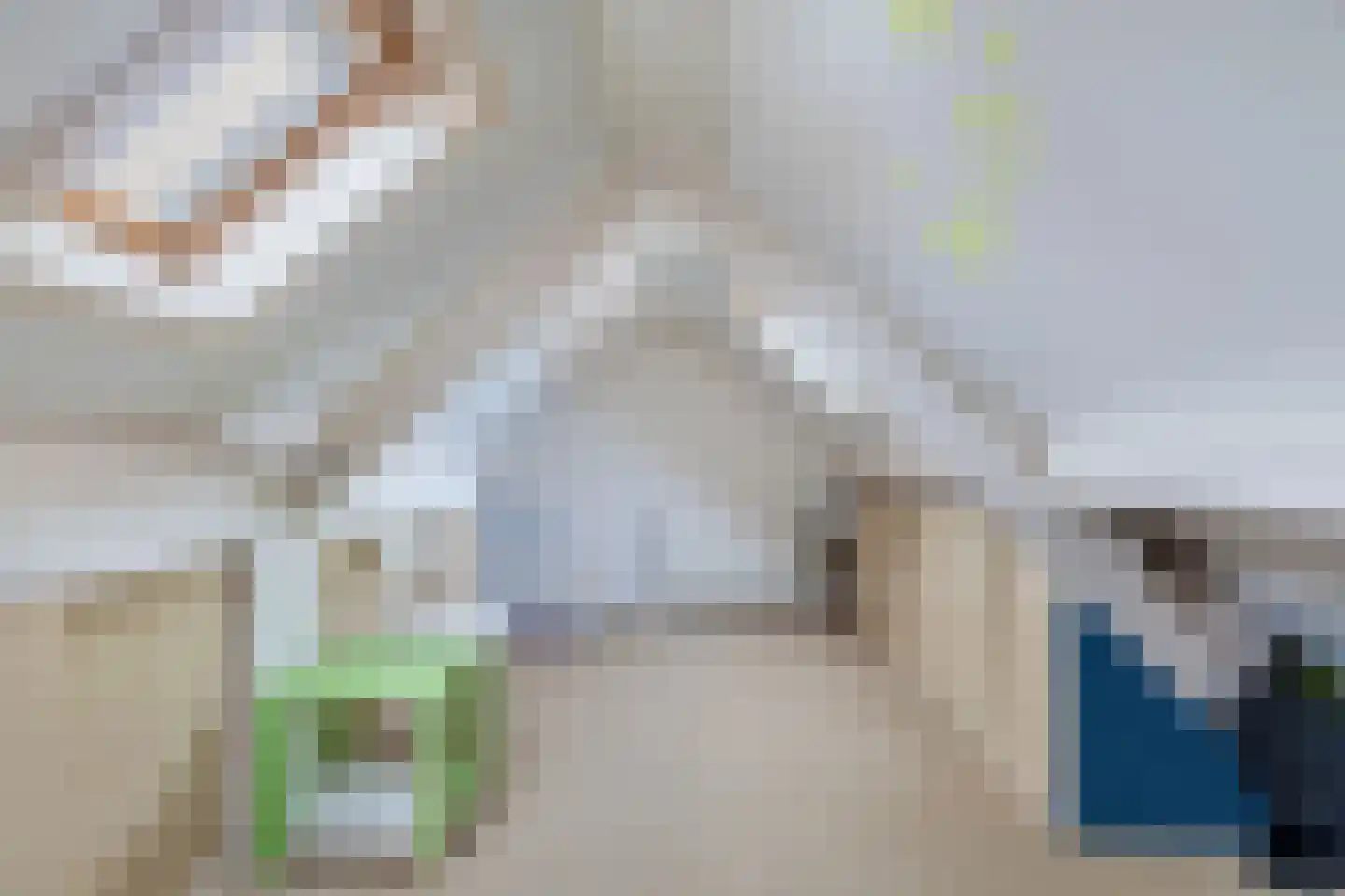Julianastraat 24 Scherpenisse thumbnail 20