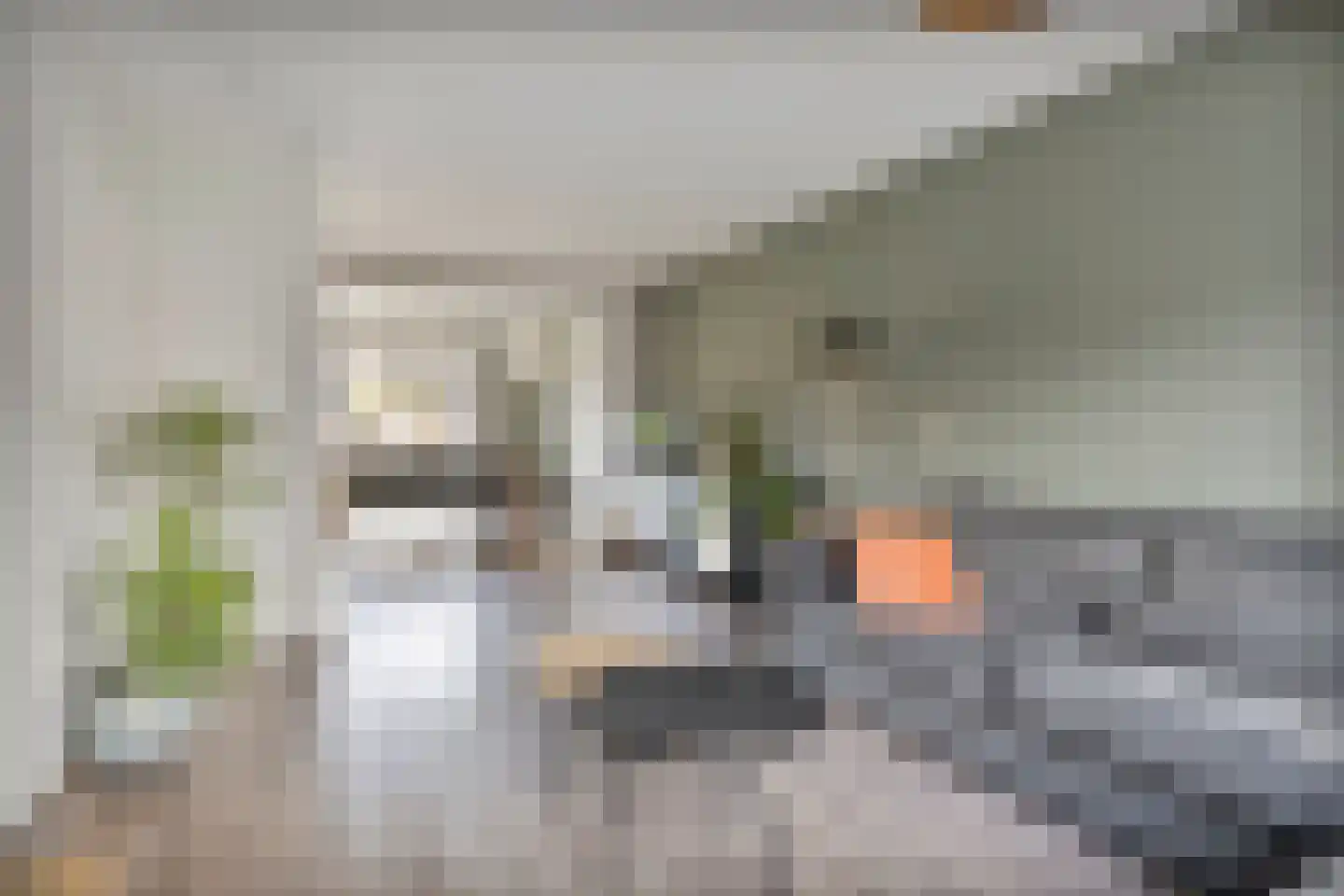Julianastraat 24 Vogelwaarde thumbnail 10