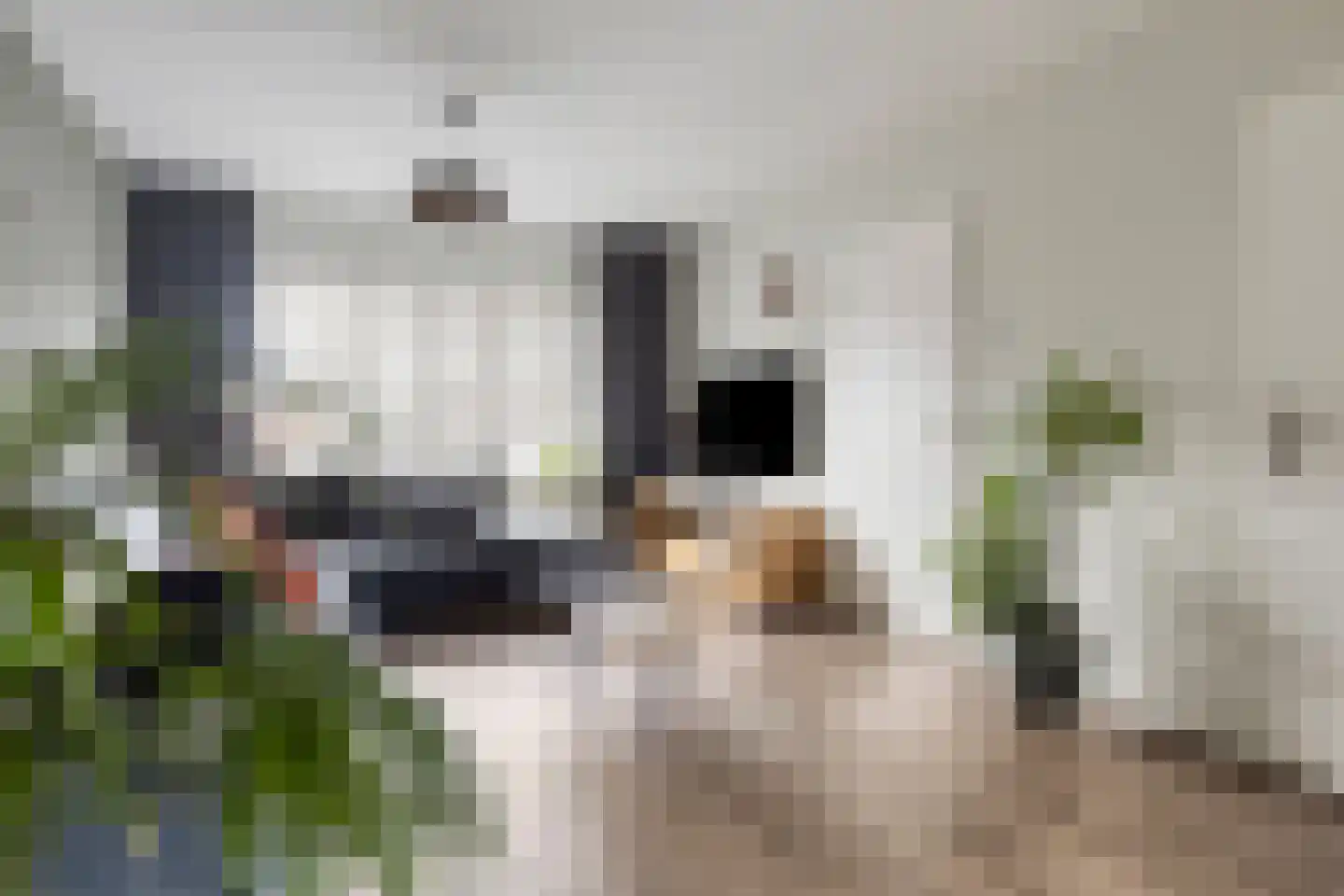 Julianastraat 24 Vogelwaarde thumbnail 11