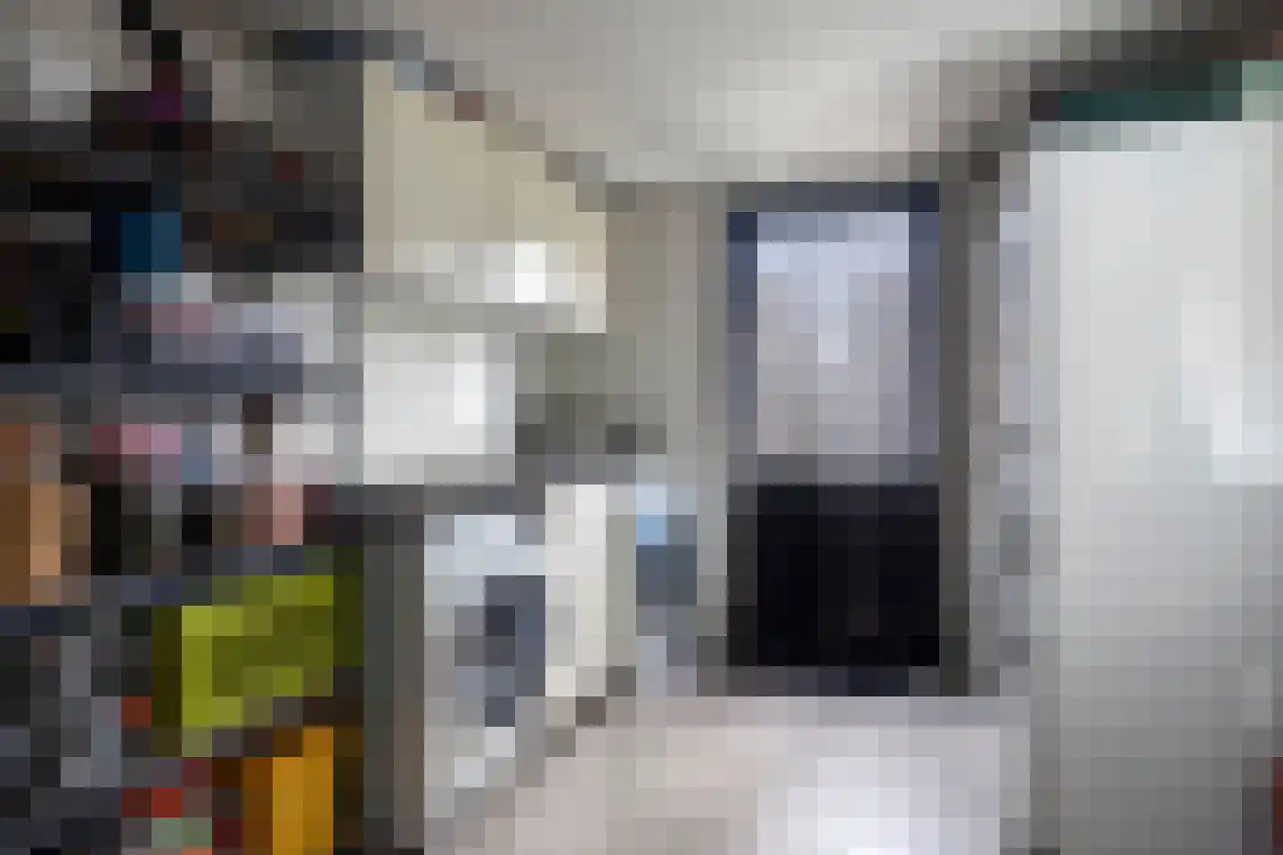 Julianastraat 24 Vogelwaarde thumbnail 18