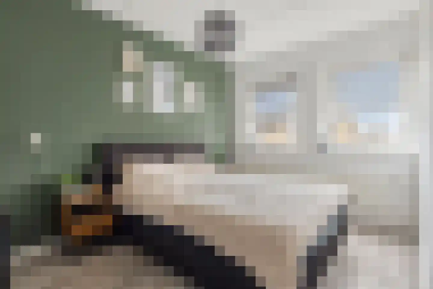 Julianastraat 24 Vogelwaarde thumbnail 20