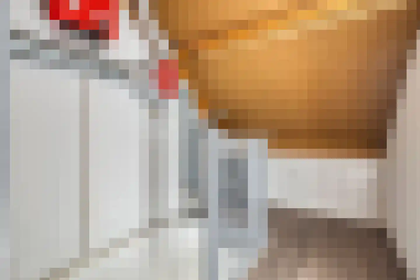 Julianastraat 24 Vogelwaarde thumbnail 25