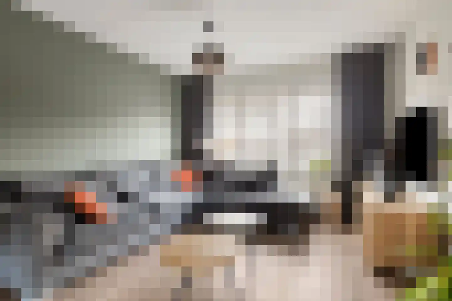 Julianastraat 24 Vogelwaarde thumbnail 4