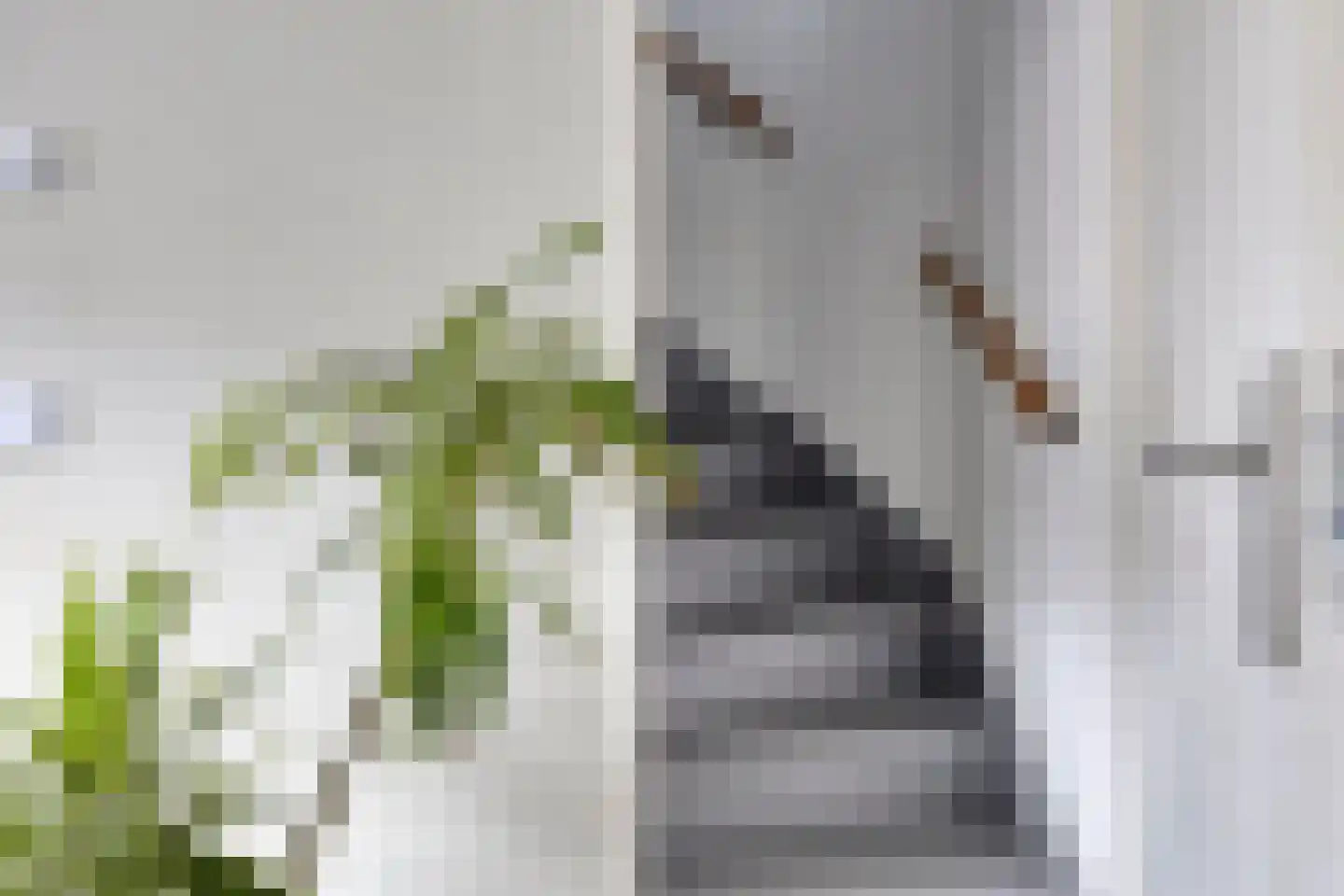 Julianastraat 24 Vogelwaarde thumbnail 9