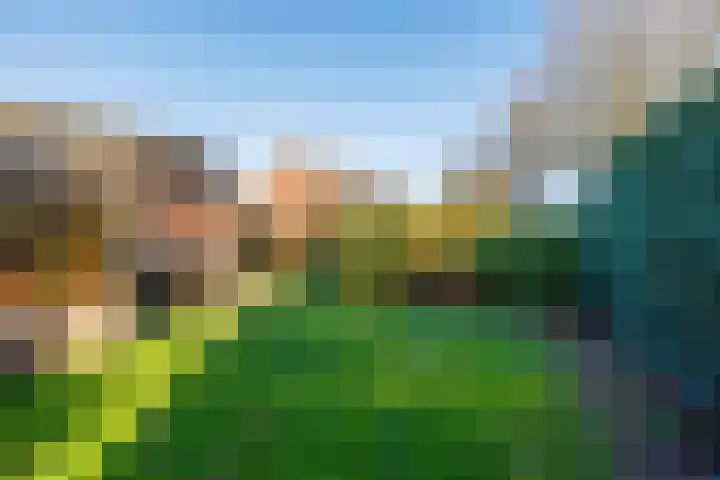 Julianastraat 25 Afferden L thumbnail 31