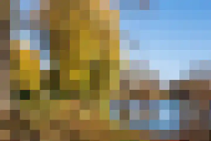 Julianastraat 25 Afferden L thumbnail 44