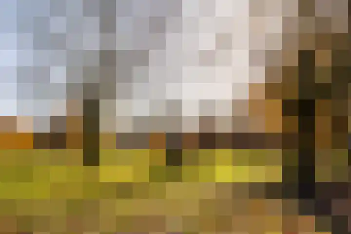 Julianastraat 25 Afferden L thumbnail 45