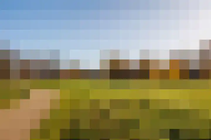 Julianastraat 25 Afferden L thumbnail 47