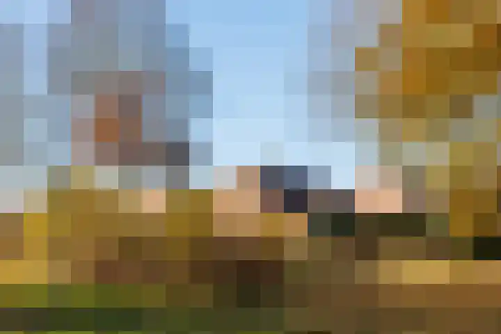 Julianastraat 25 Afferden L thumbnail 49