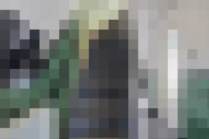 Julianastraat 25 Eindhoven thumbnail 5