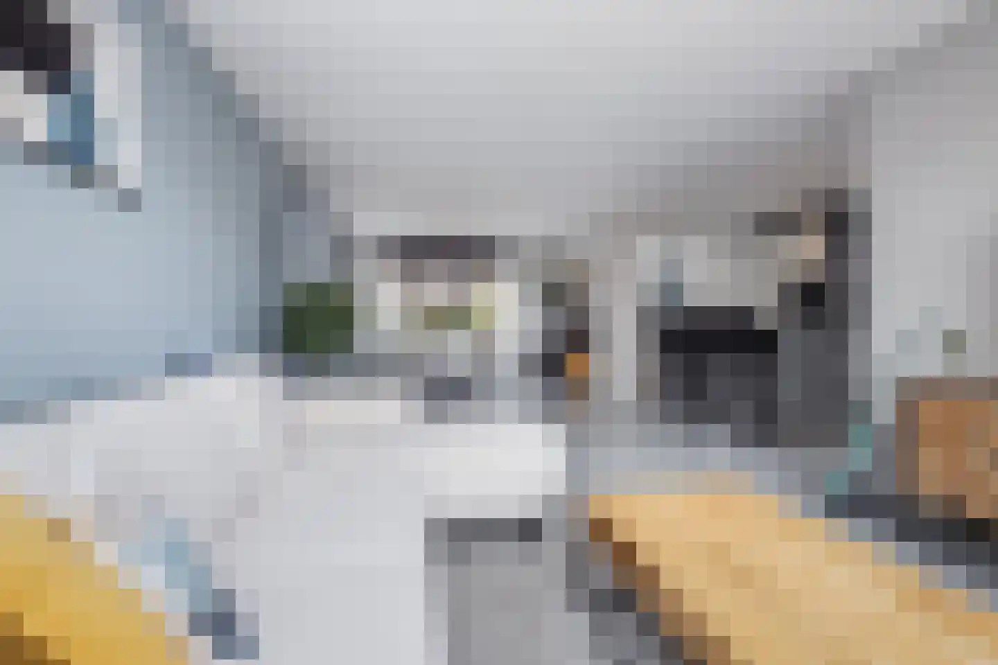 Julianastraat 25 Hoogkarspel thumbnail 12
