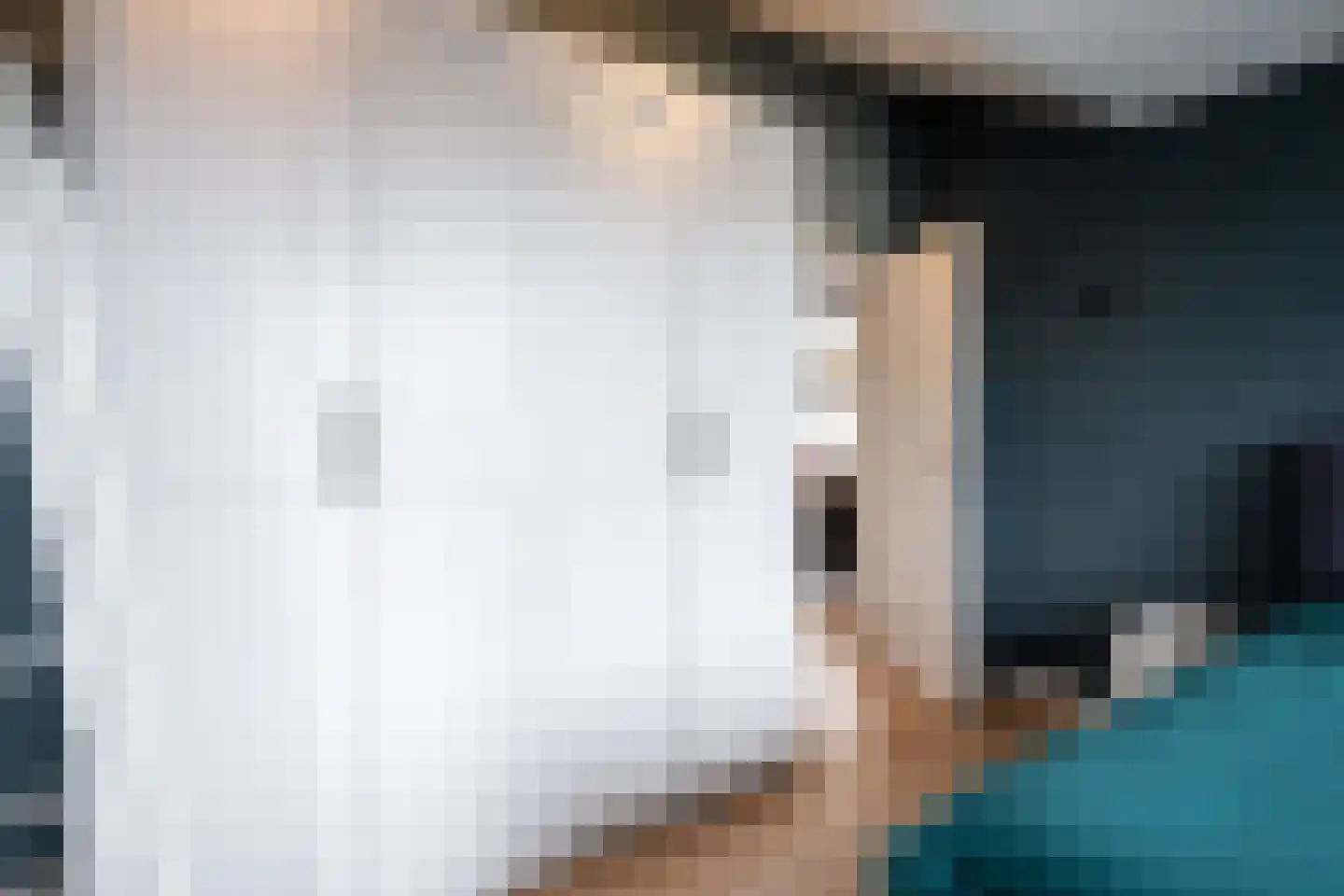 Julianastraat 25 Hoogkarspel thumbnail 20