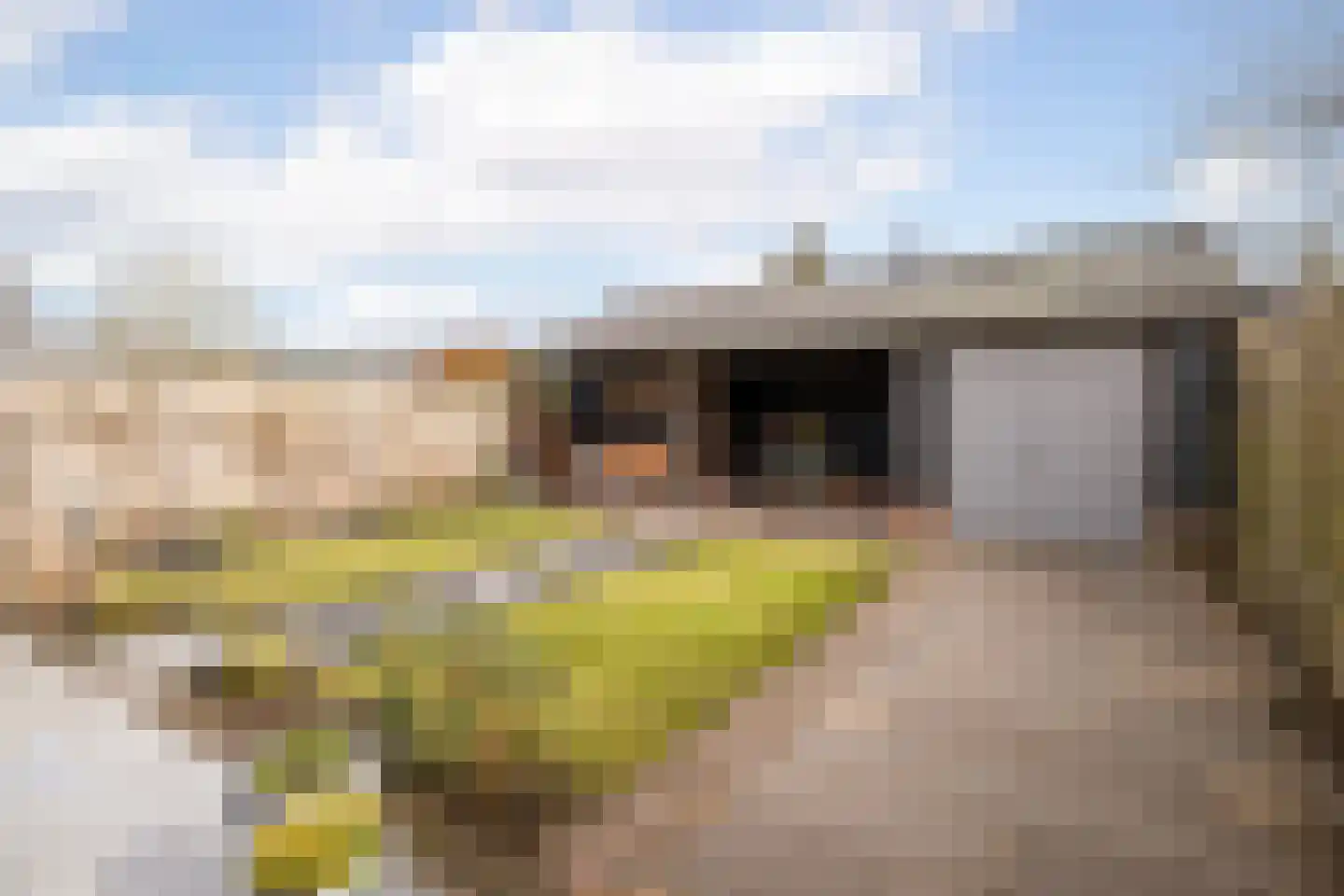 Julianastraat 25 Hoogkarspel thumbnail 30