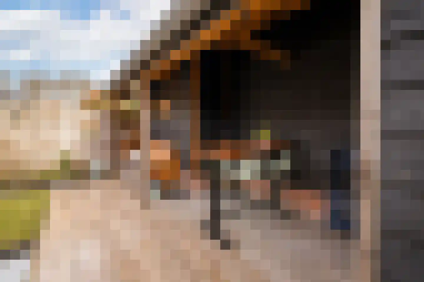 Julianastraat 25 Hoogkarspel thumbnail 31