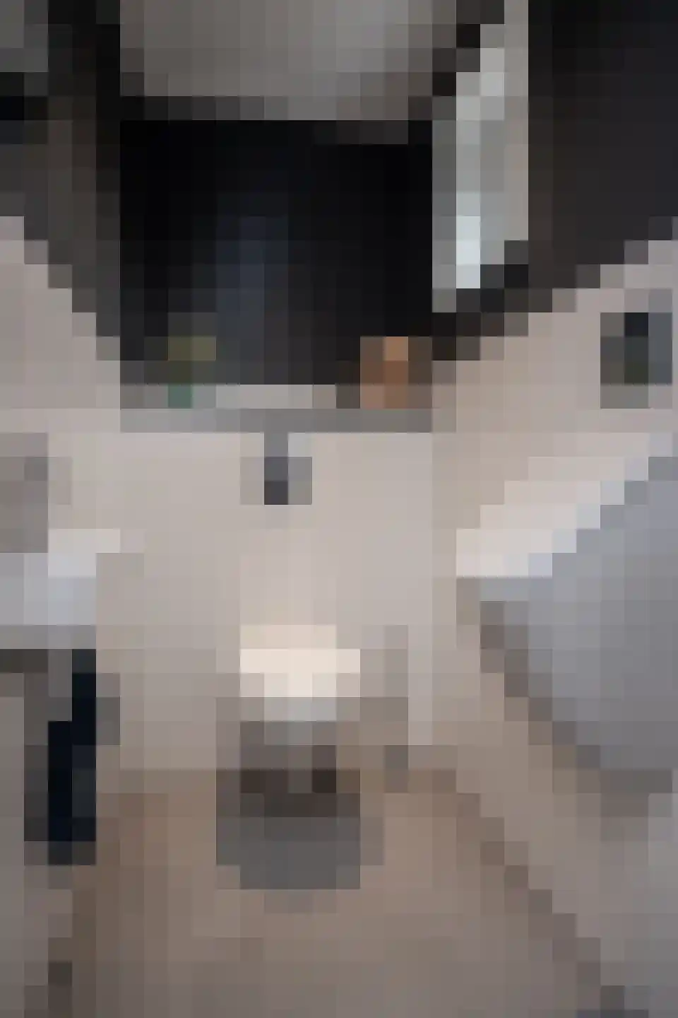 Julianastraat 25 Hoogkarspel thumbnail 45