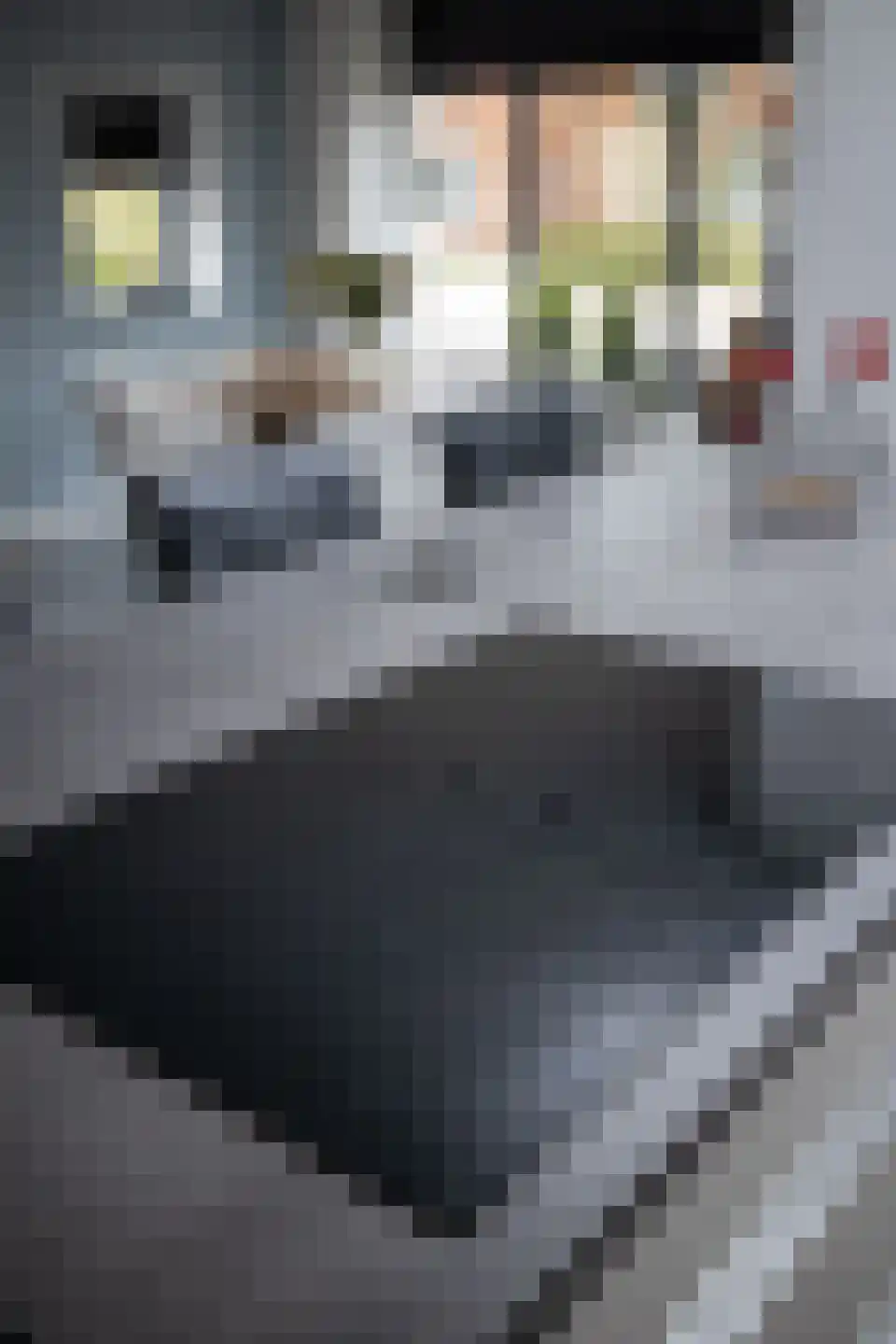 Julianastraat 25 Hoogkarspel thumbnail 48