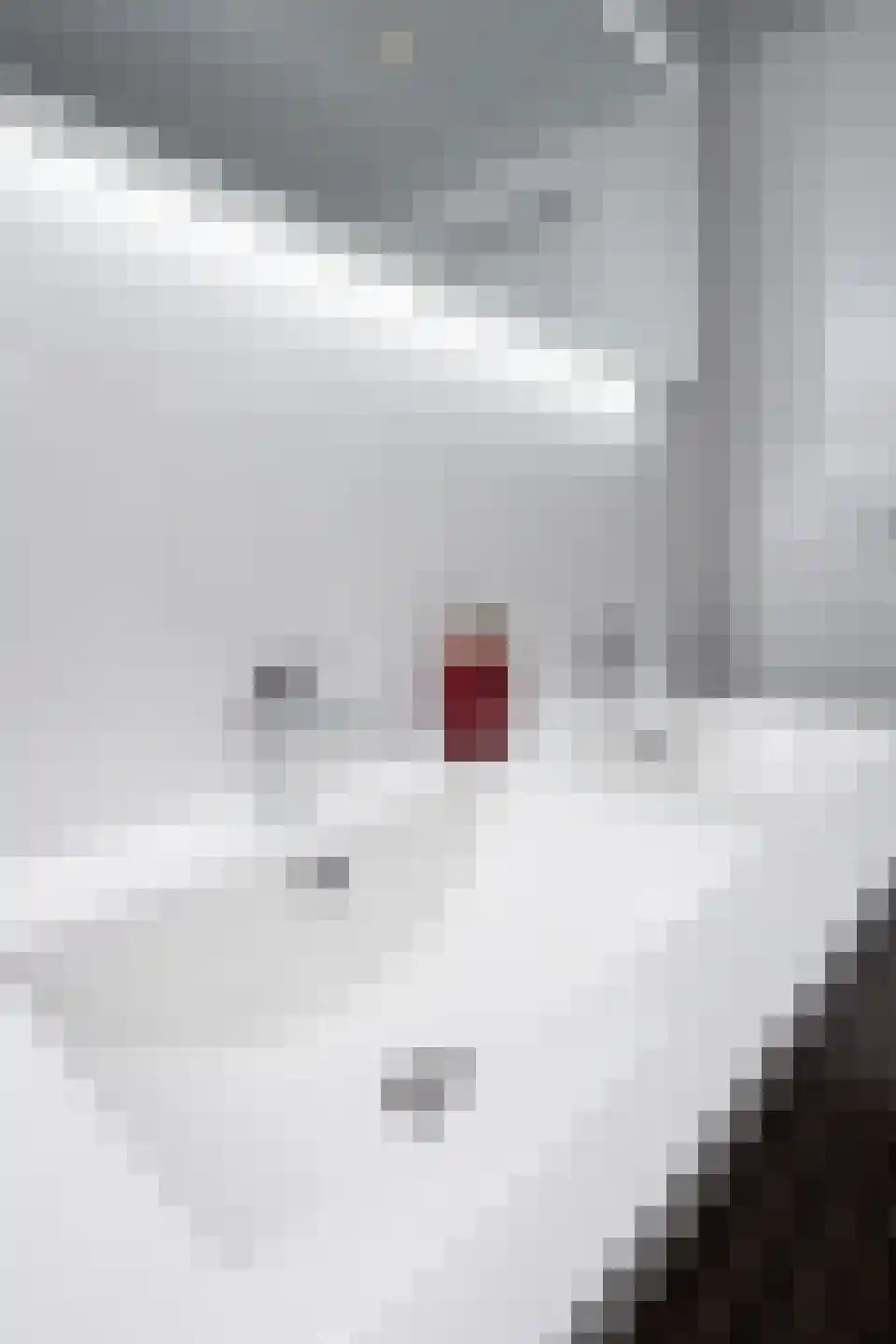 Julianastraat 25 Hoogkarspel thumbnail 52