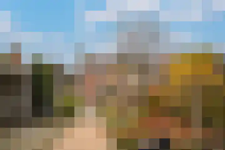 Julianastraat 25 Kerkdriel thumbnail 28