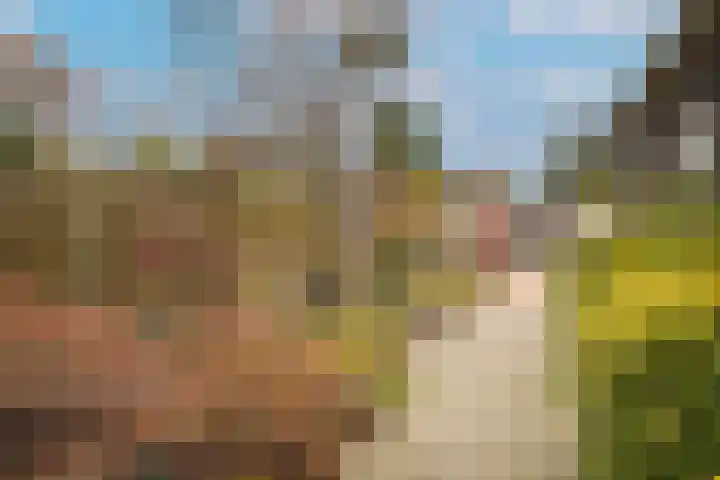Julianastraat 25 Kerkdriel thumbnail 35