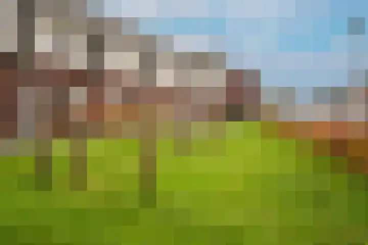 Julianastraat 25 Kerkdriel thumbnail 38