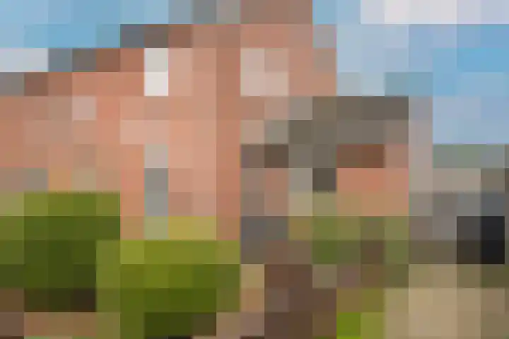 Julianastraat 25 Kerkdriel thumbnail 6