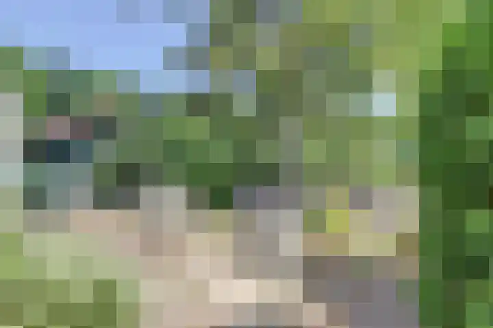 Julianastraat 25 Zierikzee thumbnail 24