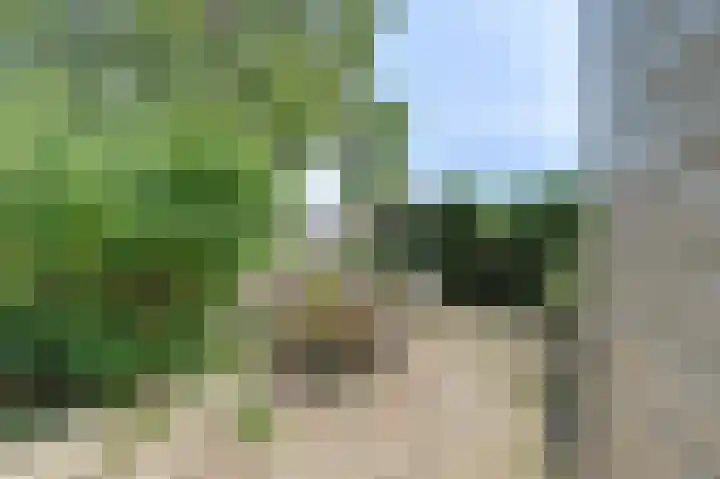 Julianastraat 25 Zierikzee thumbnail 25