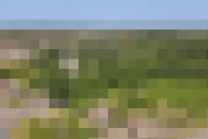 Julianastraat 25 Zierikzee thumbnail 26