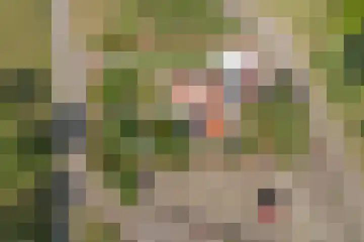 Julianastraat 25 Zierikzee thumbnail 27