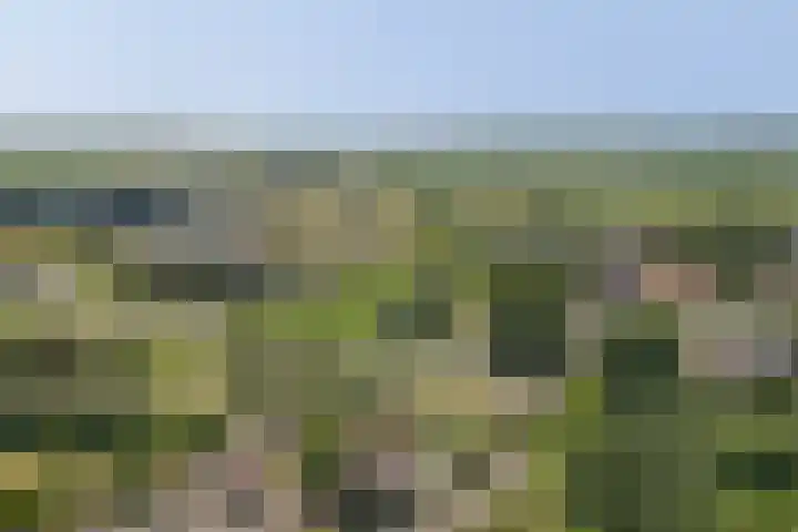 Julianastraat 25 Zierikzee thumbnail 28