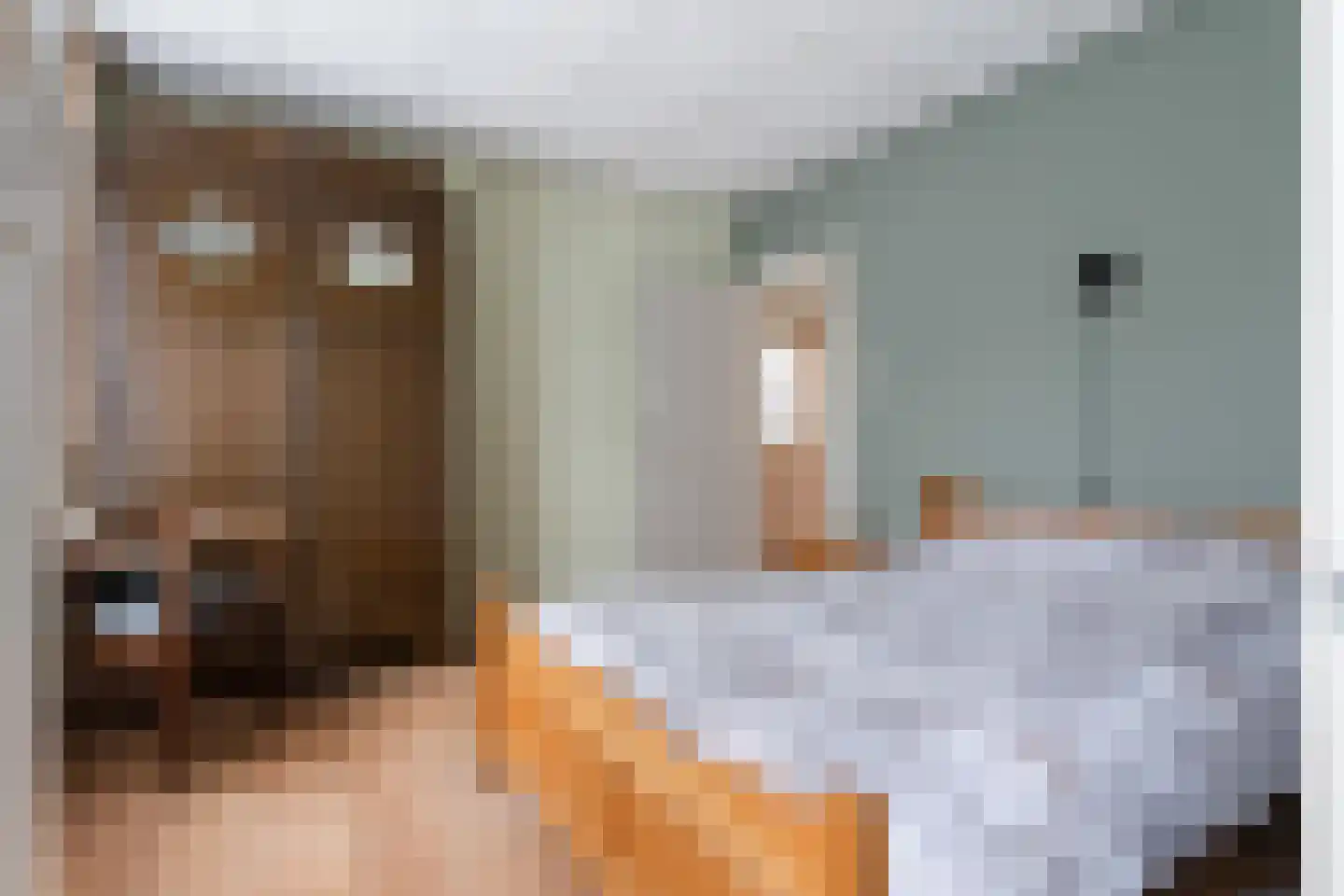 Julianastraat 26 Beilen thumbnail 24