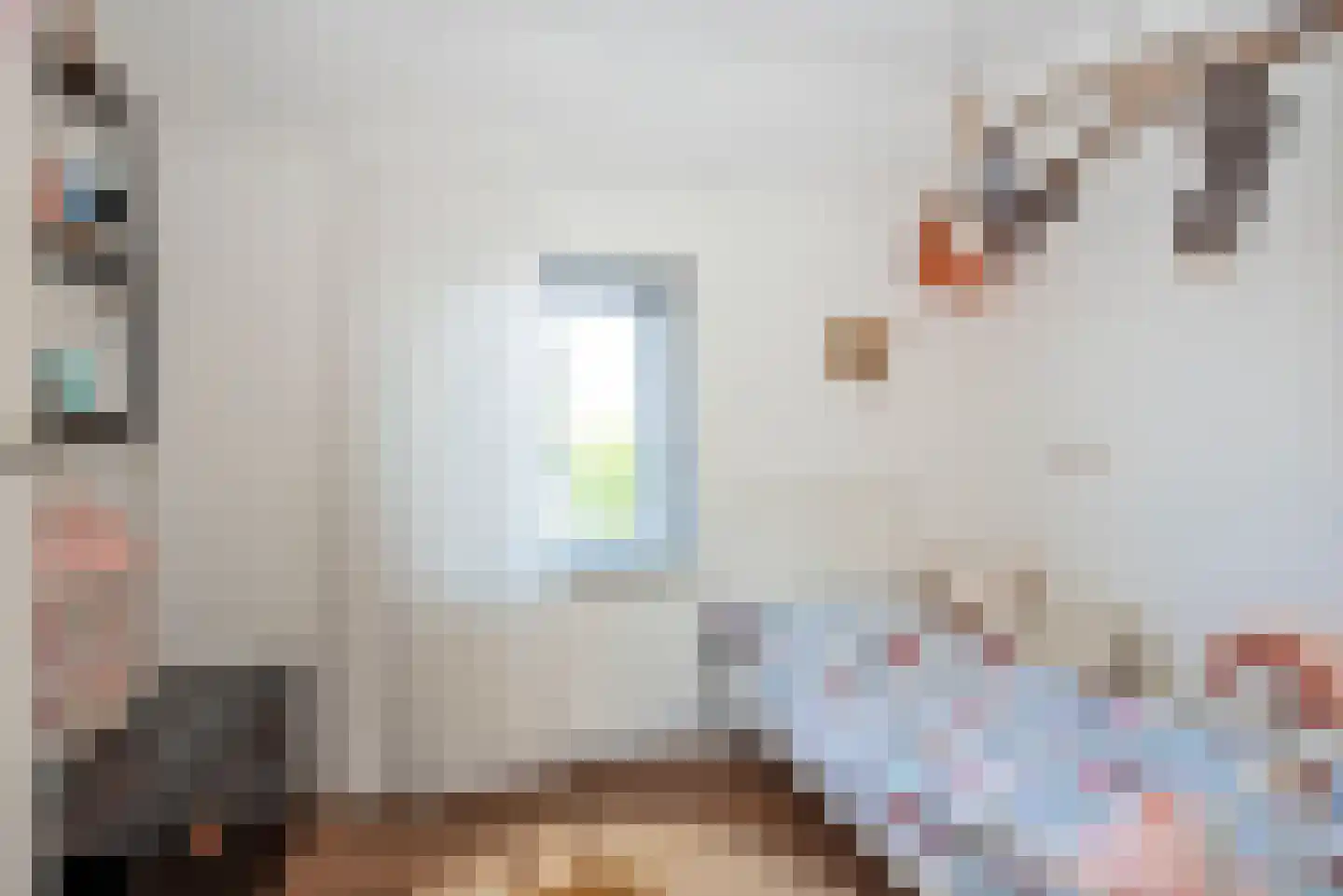 Julianastraat 26 Delden thumbnail 19
