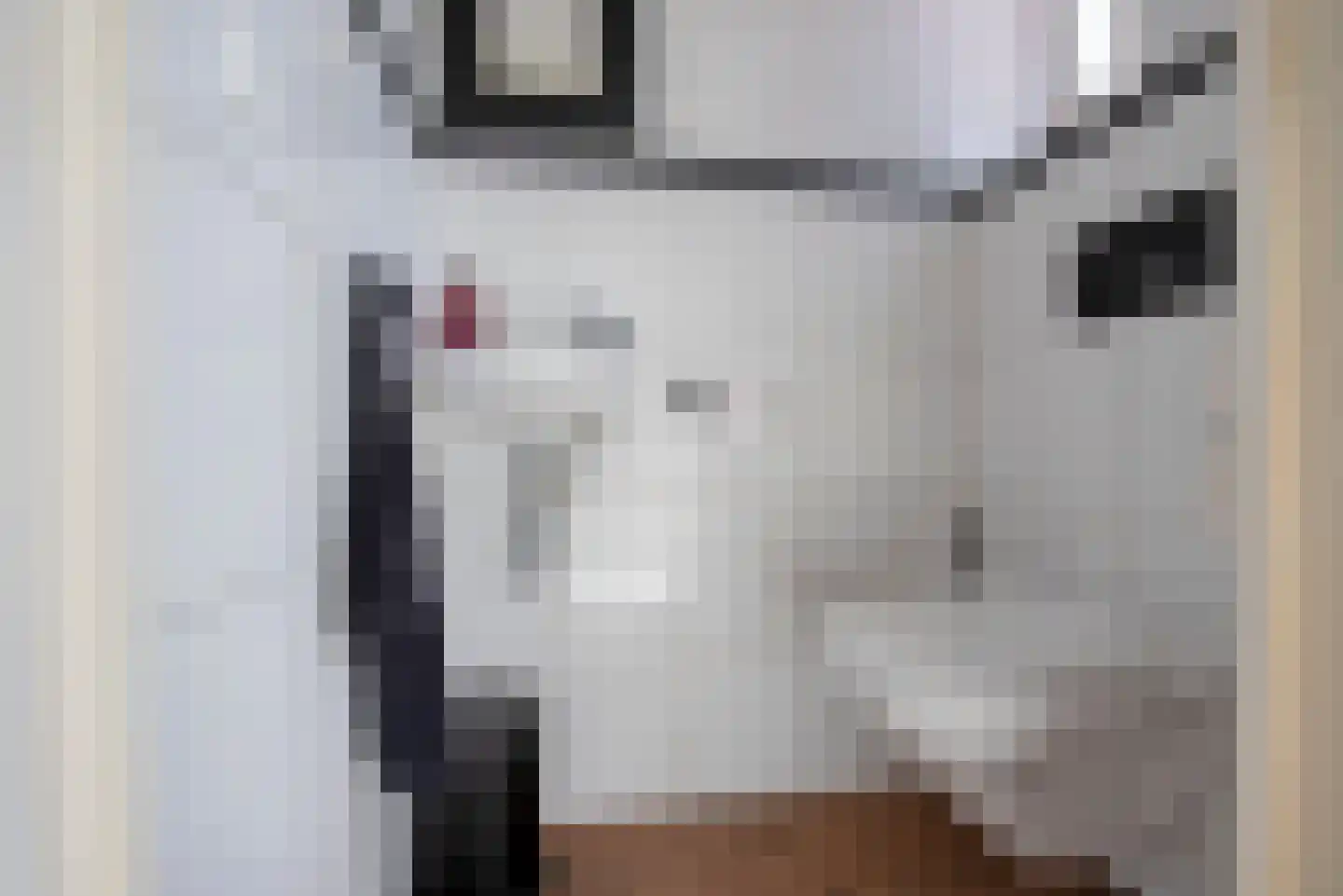 Julianastraat 26 Delden thumbnail 7