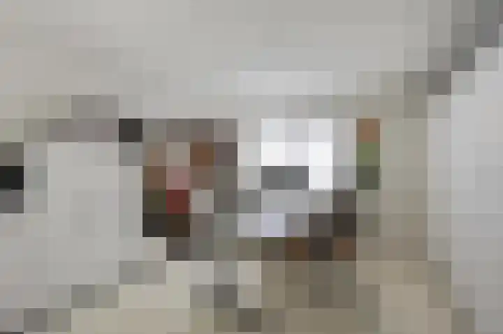 Julianastraat 26 Echt thumbnail 15