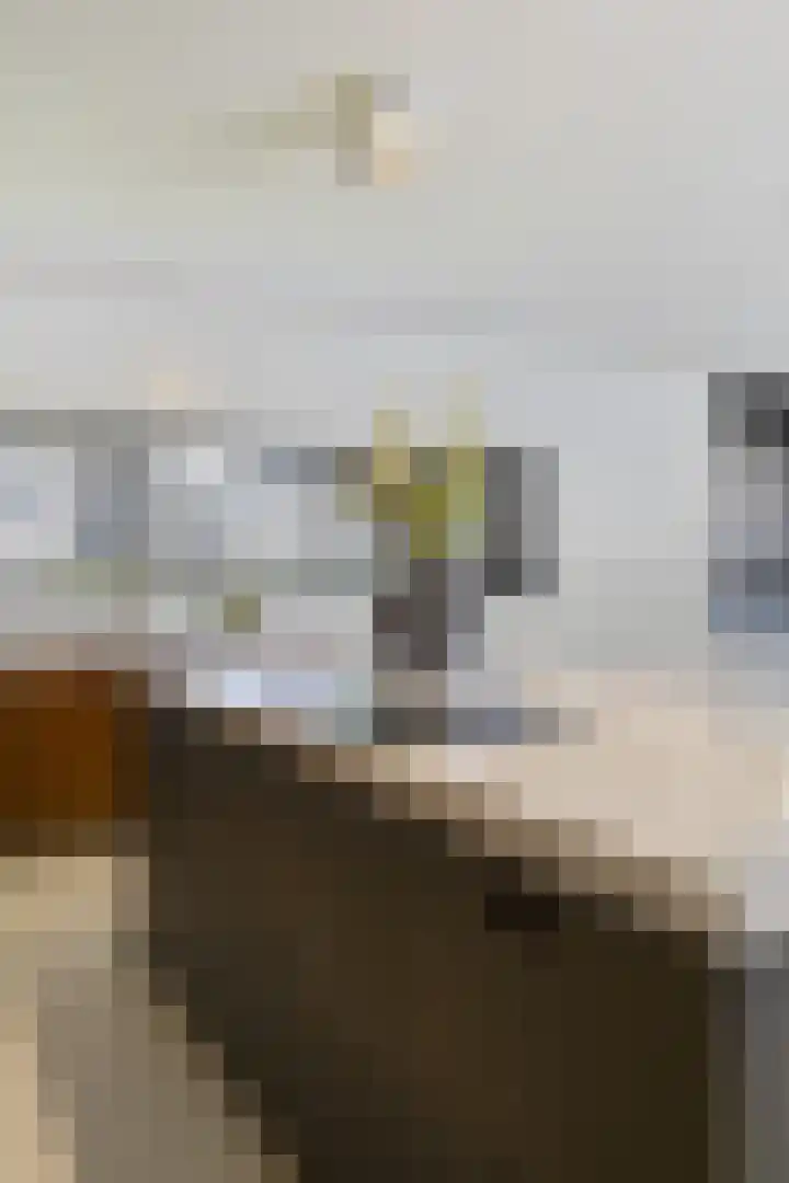 Julianastraat 26 Echt thumbnail 21