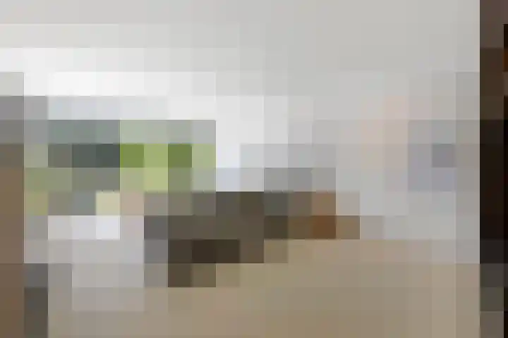 Julianastraat 26 Echt thumbnail 25