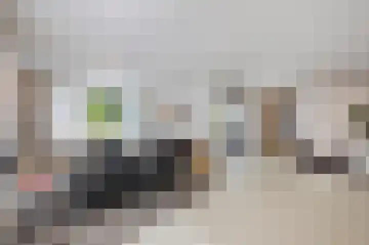 Julianastraat 26 Echt thumbnail 29