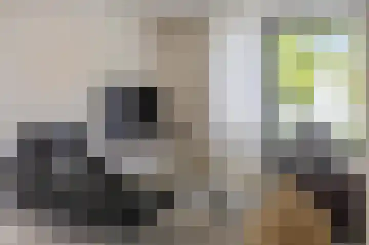 Julianastraat 26 Echt thumbnail 32