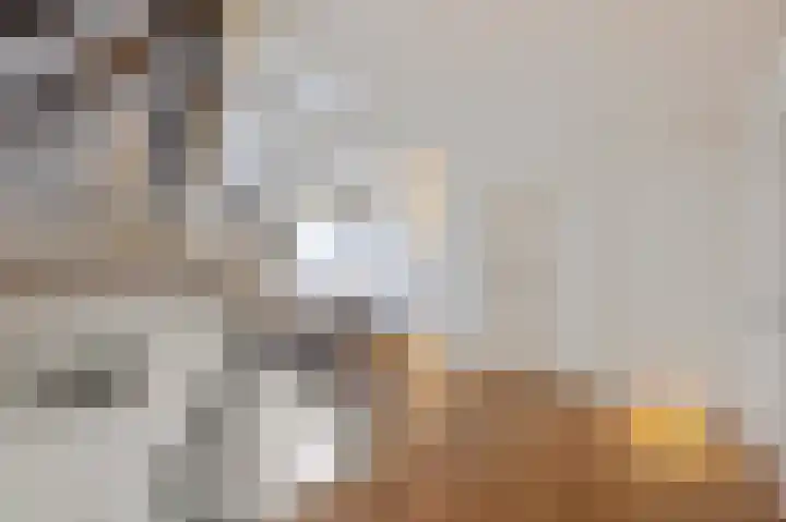 Julianastraat 26 Echt thumbnail 38