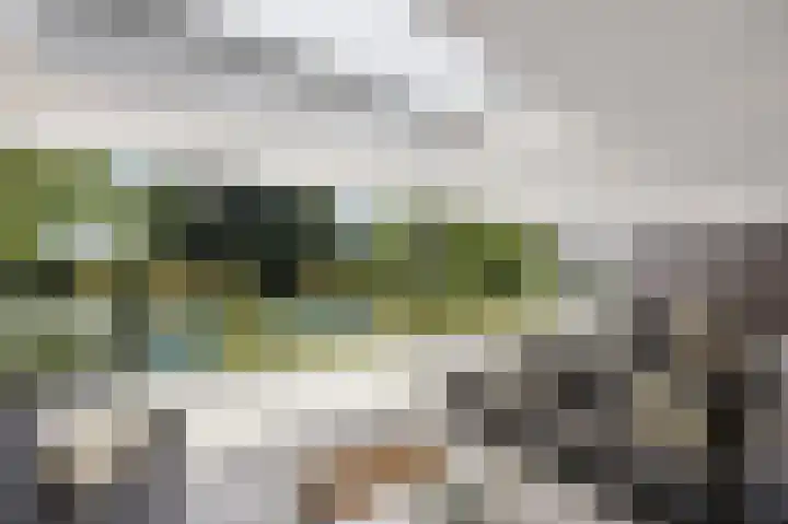 Julianastraat 26 Echt thumbnail 4