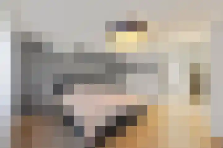 Julianastraat 26 Echt thumbnail 40