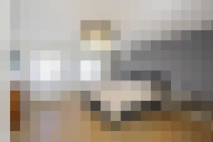 Julianastraat 26 Echt thumbnail 41