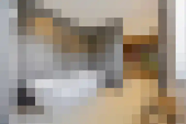 Julianastraat 26 Echt thumbnail 46