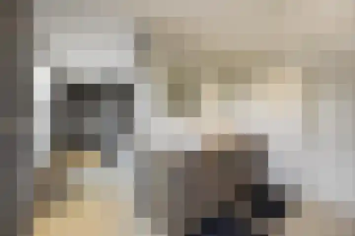 Julianastraat 26 Echt thumbnail 48